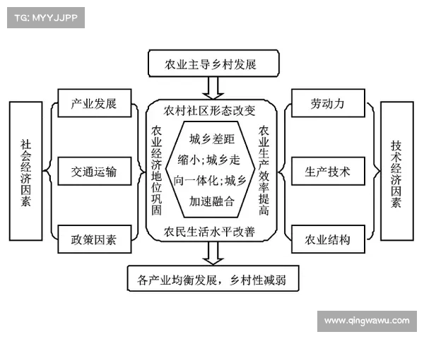 网球比赛赛道维护管理与优化策略探讨及其对赛事影响分析 网球比赛赛道维护管理与优化策略探讨及其对赛事影响分析