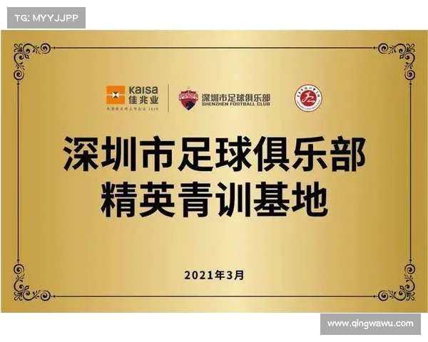足球球员转会流程管理与优化策略研究及实施方案 足球球员转会流程管理与优化策略研究及实施方案